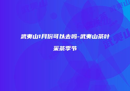武夷山1月份可以去吗-武夷山茶叶采茶季节