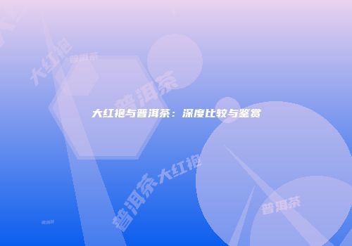 大红袍与普洱茶：深度比较与鉴赏