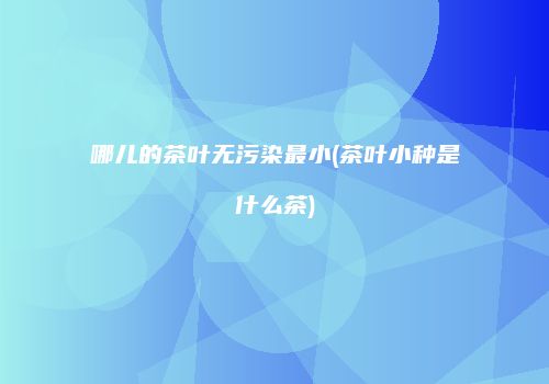 哪儿的茶叶无污染最小(茶叶小种是什么茶)