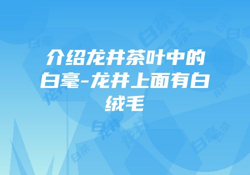 介绍龙井茶叶中的白毫-龙井上面有白绒毛