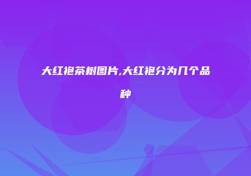 大红袍茶树图片,大红袍分为几个品种