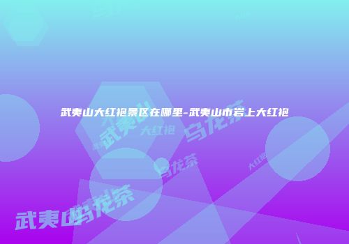 武夷山大红袍景区在哪里-武夷山市岩上大红袍