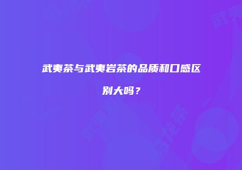 武夷茶与武夷岩茶的品质和口感区别大吗？