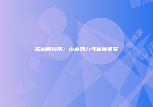 揭秘普洱茶：枣香魅力与品质鉴赏