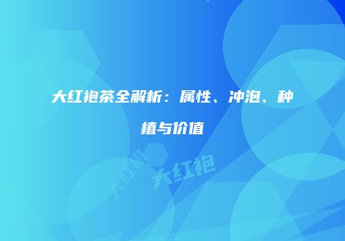 大红袍茶全解析：属性、冲泡、种植与价值