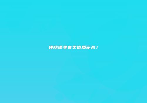 建瓯哪里有卖优质花茶？