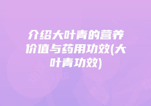 介绍大叶青的营养价值与药用功效(大叶青功效)
