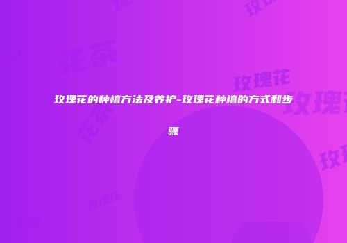 玫瑰花的种植方法及养护-玫瑰花种植的方式和步骤