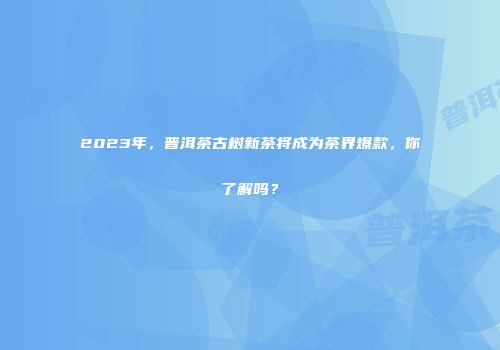 2023年，普洱茶古树新茶将成为茶界爆款，你了解吗？