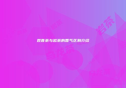 观音茶与岩茶的香气区别介绍