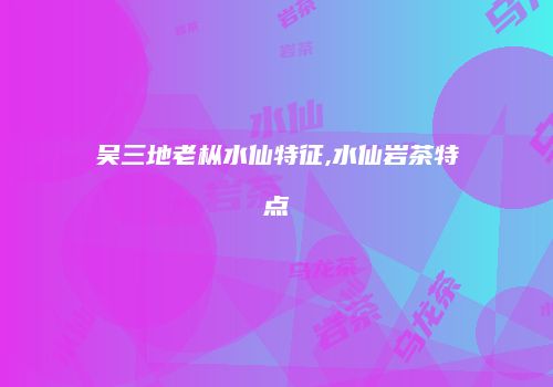 吴三地老枞水仙特征,水仙岩茶特点