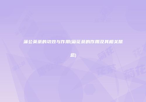 蒲公英茶的功效与作用(菊花茶的作用及其相关禁忌)