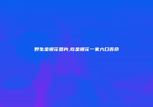 野生金银花图片,吃金银花一家六口丧命
