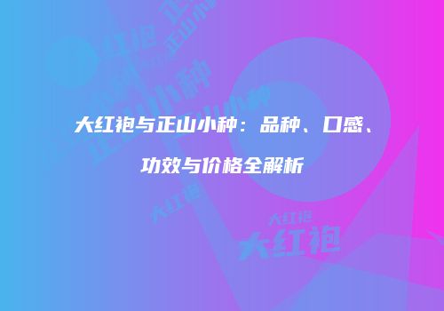 大红袍与正山小种：品种、口感、功效与价格全解析