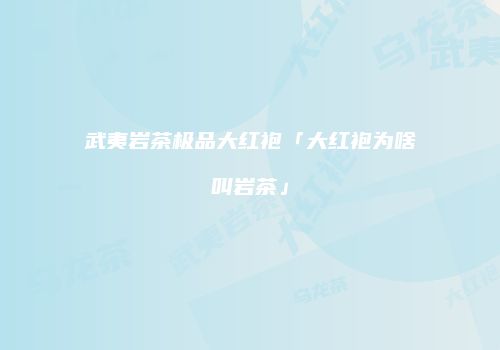 武夷岩茶极品大红袍「大红袍为啥叫岩茶」