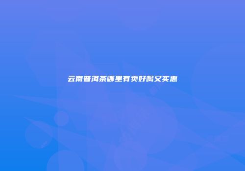 云南普洱茶哪里有卖好喝又实惠