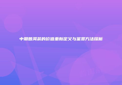 中期普洱茶的价值重新定义与鉴赏方法探析