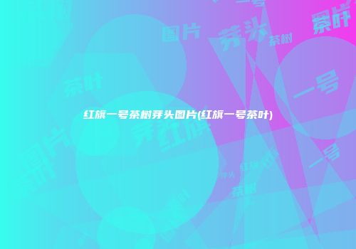 红旗一号茶树芽头图片(红旗一号茶叶)