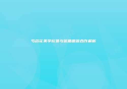 芍药花美学欣赏与优质苗源合作解析