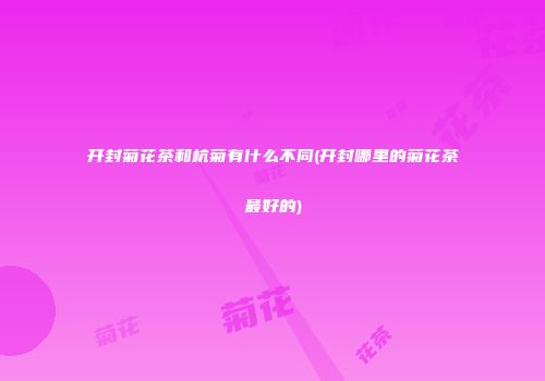 开封菊花茶和杭菊有什么不同(开封哪里的菊花茶最好的)