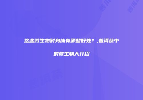 这些微生物对身体有哪些好处？,普洱茶中的微生物大介绍