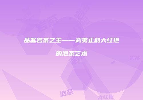 品鉴岩茶之王——武夷正韵大红袍的泡茶艺术