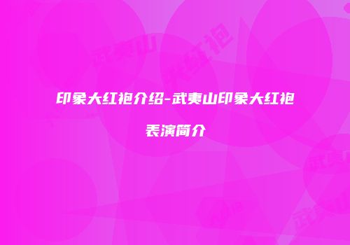 印象大红袍介绍-武夷山印象大红袍表演简介
