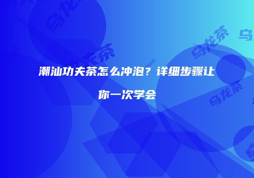 潮汕功夫茶怎么冲泡？详细步骤让你一次学会