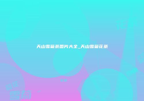 天山雪菊茶图片大全_天山雪菊花茶