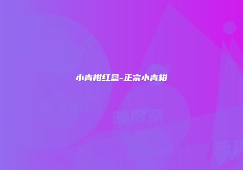 小青柑红盒-正宗小青柑