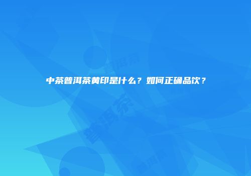 中茶普洱茶黄印是什么？如何正确品饮？