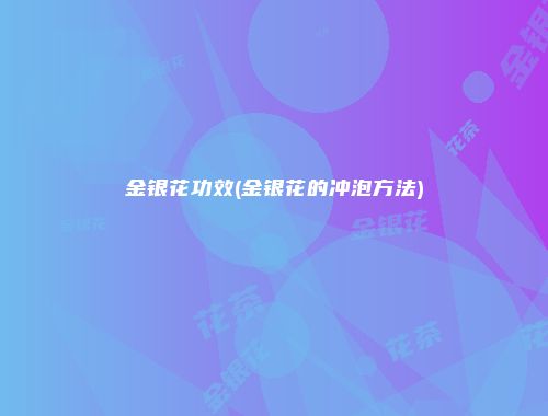 金银花功效(金银花的冲泡方法)