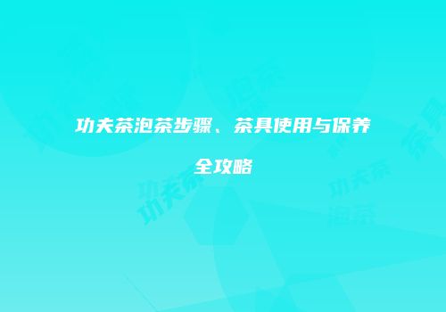 功夫茶泡茶步骤、茶具使用与保养全攻略