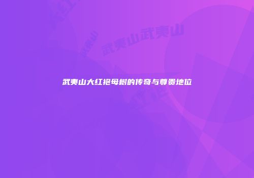 武夷山大红袍母树的传奇与尊贵地位