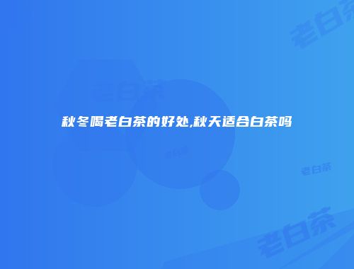 秋冬喝老白茶的好处,秋天适合白茶吗