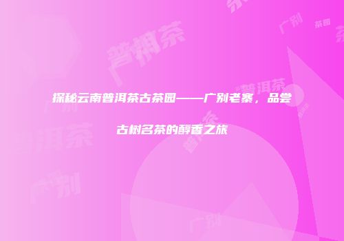 探秘云南普洱茶古茶园——广别老寨，品尝古树名茶的醇香之旅