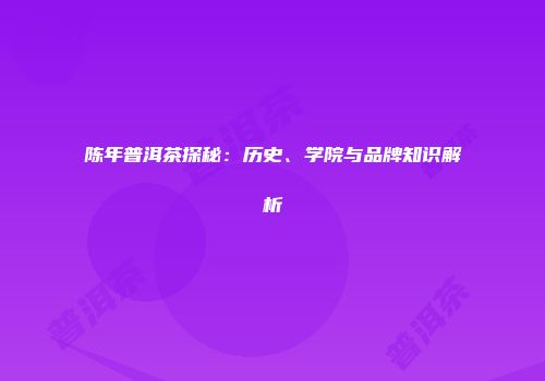 陈年普洱茶探秘：历史、学院与品牌知识解析