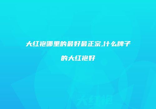 大红袍哪里的最好最正宗,什么牌子的大红袍好