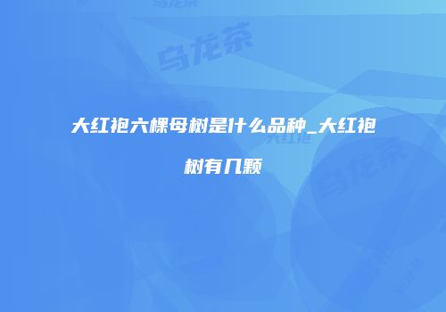 大红袍六棵母树是什么品种_大红袍树有几颗