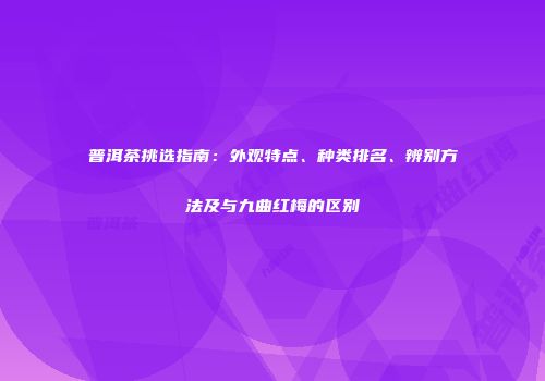 普洱茶挑选指南：外观特点、种类排名、辨别方法及与九曲红梅的区别