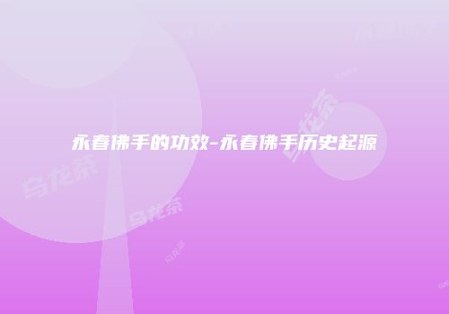 永春佛手的功效-永春佛手历史起源