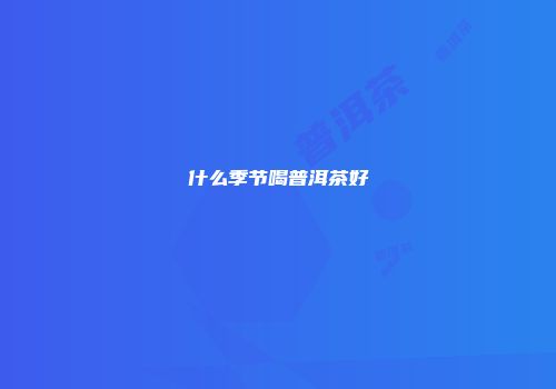 什么季节喝普洱茶好