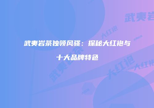 武夷岩茶独领风骚：探秘大红袍与十大品牌特色
