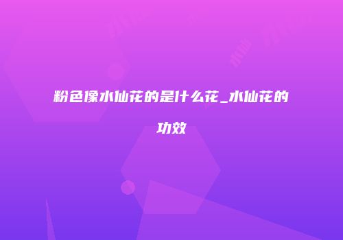 粉色像水仙花的是什么花_水仙花的功效