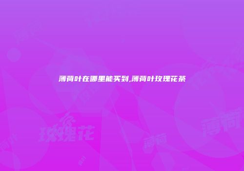 薄荷叶在哪里能买到,薄荷叶玫瑰花茶