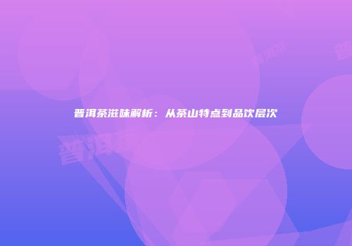 普洱茶滋味解析：从茶山特点到品饮层次