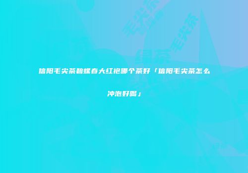 信阳毛尖茶碧螺春大红袍哪个茶好「信阳毛尖茶怎么冲泡好喝」