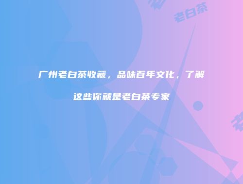 广州老白茶收藏，品味百年文化，了解这些你就是老白茶专家