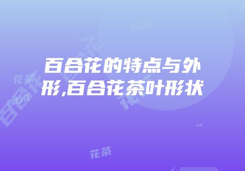 百合花的特点与外形,百合花茶叶形状
