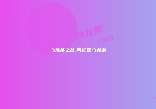 乌龙茶之首,同样是乌龙茶